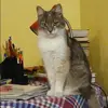 Отзыв от Серафима Панкова